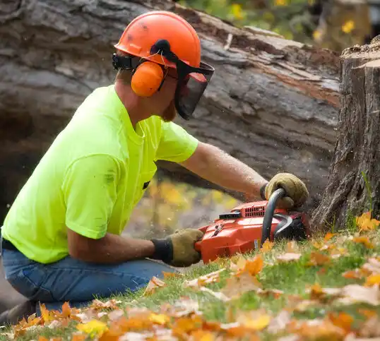 tree services Vineland